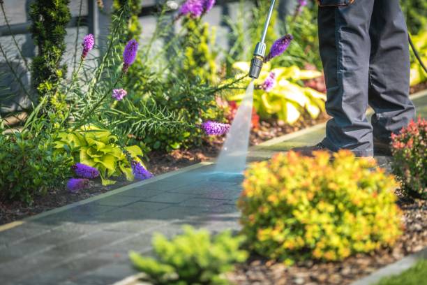 Best Fence Cleaning  in South Pekin, IL
