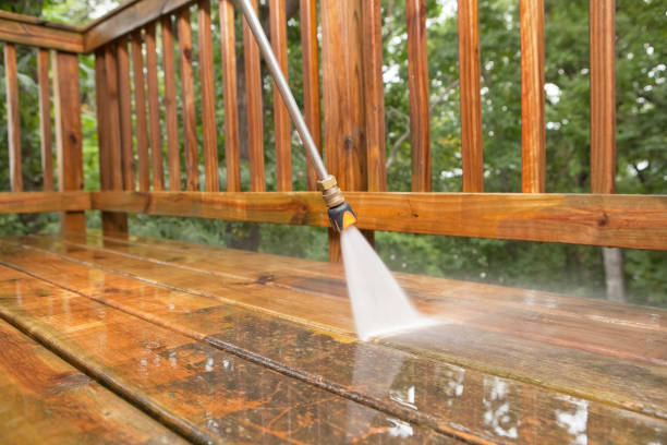 Best Solar Panel Cleaning  in South Pekin, IL